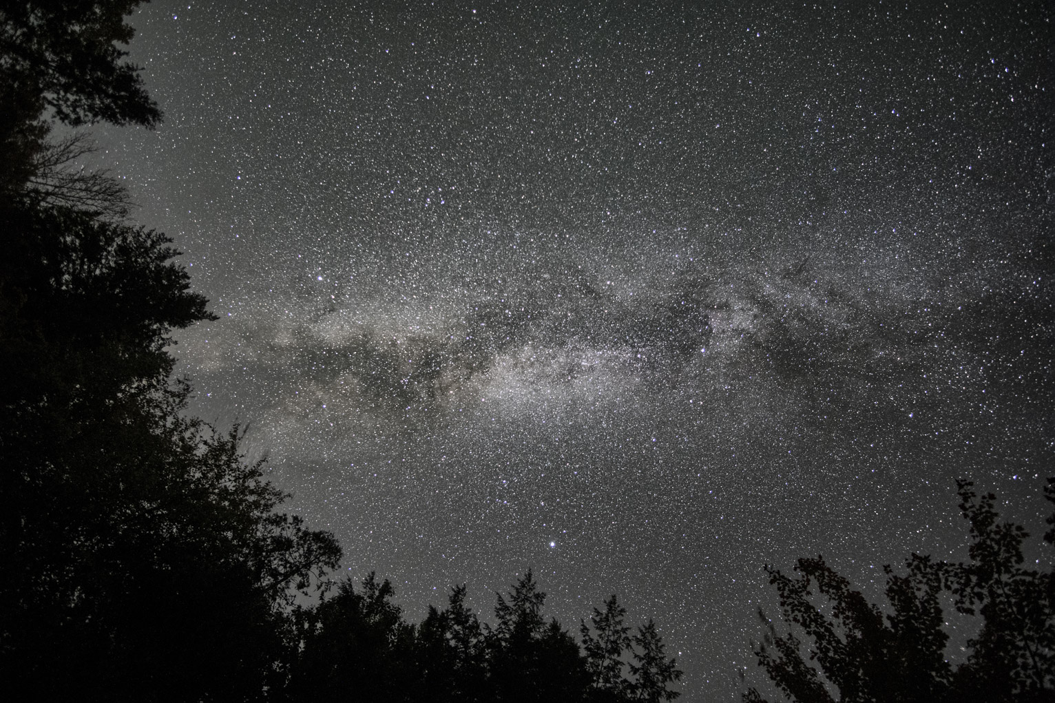 The Milky Way up above the trees bordering side and bottom